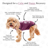 BELLY GUARD SURGERY SUIT