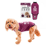 BELLY GUARD SURGERY SUIT