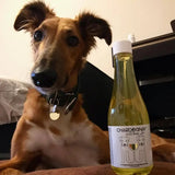 Chardognay Fish Oil + Bone Health Dog Wine