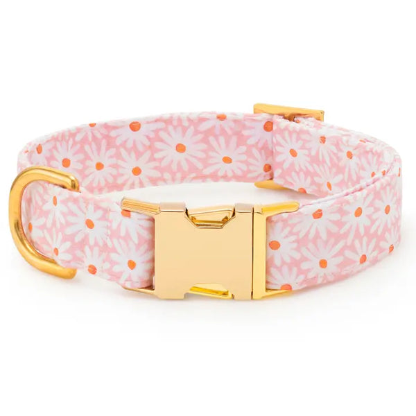 FRESH AS A DAISY SPRING COLLAR