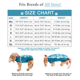 BELLY GUARD SURGERY SUIT