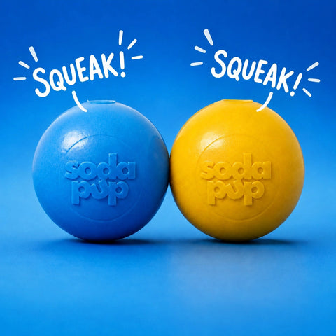 SODA PUP SQUEAKY BALL