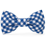 LAKE BLUE BOW TIE