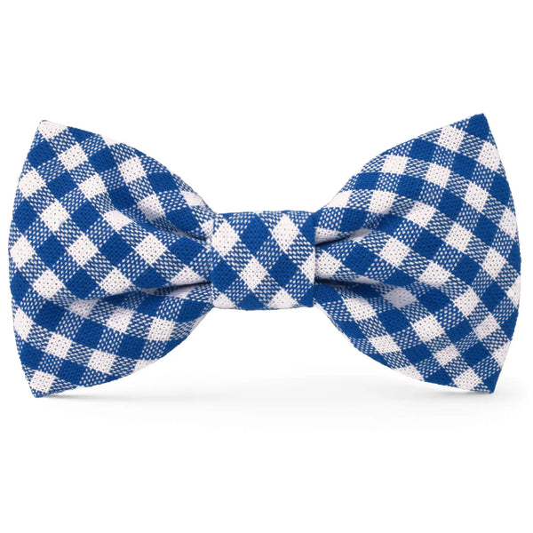 LAKE BLUE BOW TIE