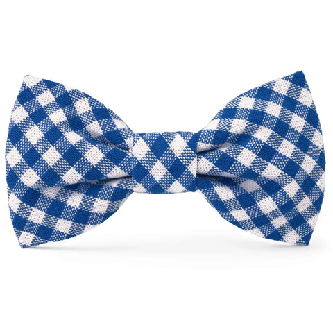 LAKE BLUE BOW TIE