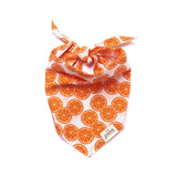 FRESH SLICE BANDANA