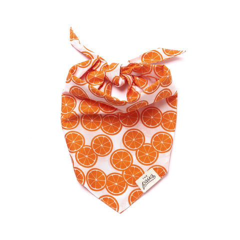 FRESH SLICE BANDANA