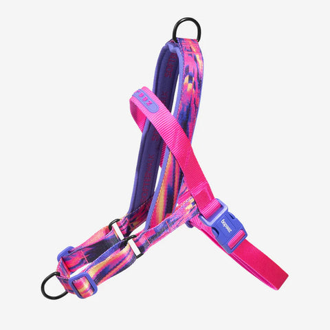 500 SofterWalk Harness