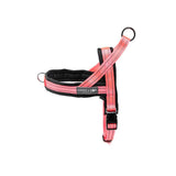 NO PULL HARNESS