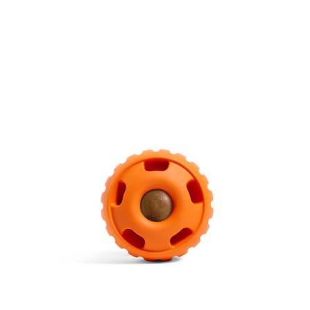 Pupcicle Pumpkin