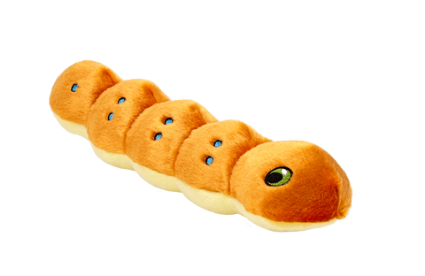 Spicy Caterpillar