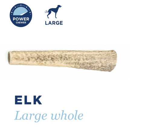Barkworthies Elk Antler Whole-Lg