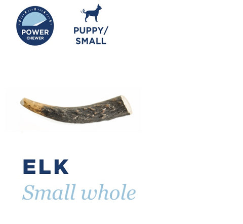 Barkworthies Elk Antler Whole-Sm