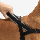 SofterWalk No Pull Harness/Gotham