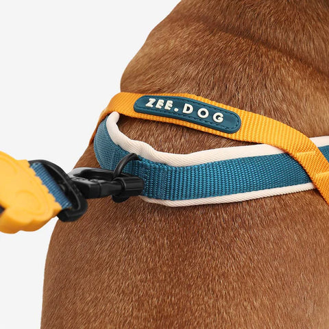 SofterWalk No Pull Harness/Voyage