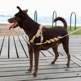 SofterWalk No Pull Harness/Dune