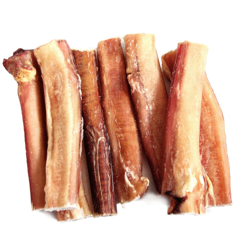 Odor Free Bully Stick 6 in/JUMBO