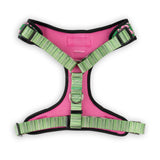 Pink Tropics Harness