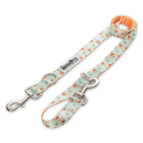 Feeling Peachy Leash