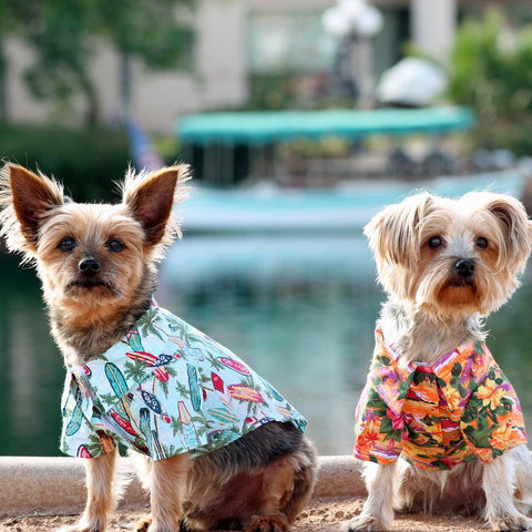 Hawaiian Shirt- Surfboards