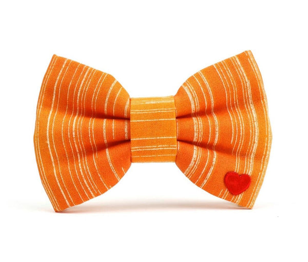 Bow Tie - Clementine