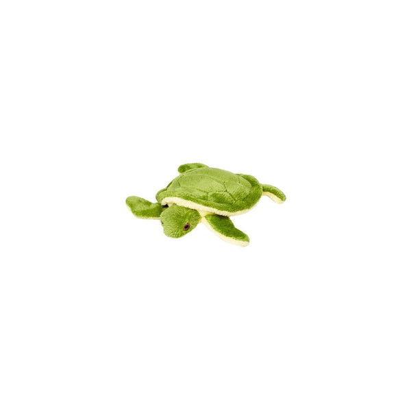 Shelly Turtle