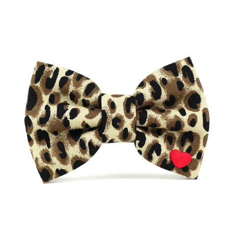 Bow Tie - Leopard