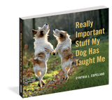 Really Important Stuff My Dog Taught Me-Book