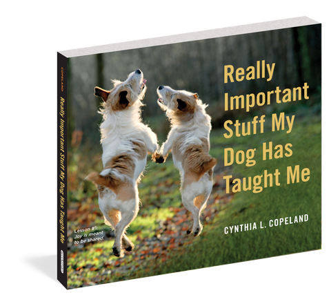 Really Important Stuff My Dog Taught Me-Book