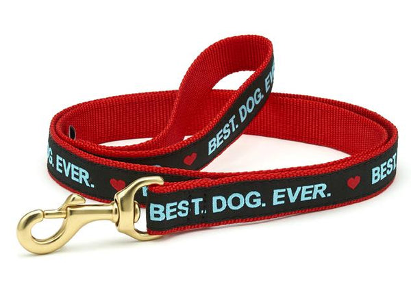 BEST DOG EVER LEAD