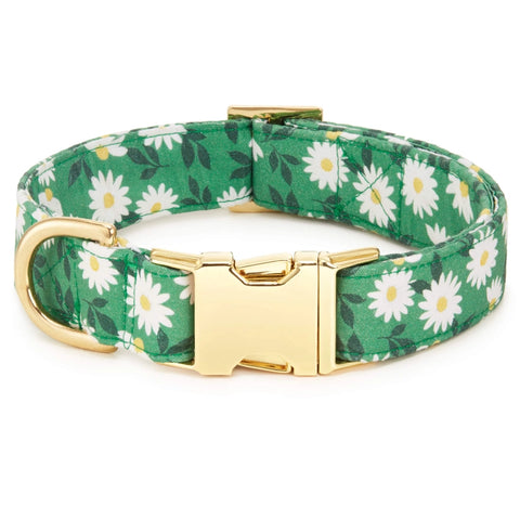 COMING UP DAISIES COLLAR