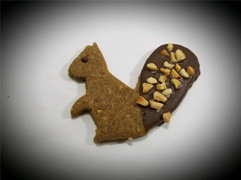 CAROB TAIL SQUIRREL