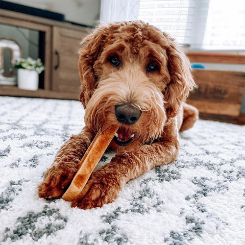 Tumeric Yak Chew