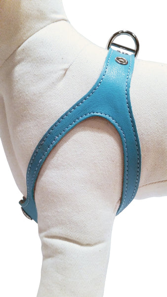 Baby Blue Leather Harness