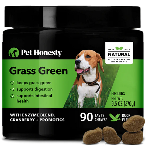 PET HONESTY-GRASS GREEN