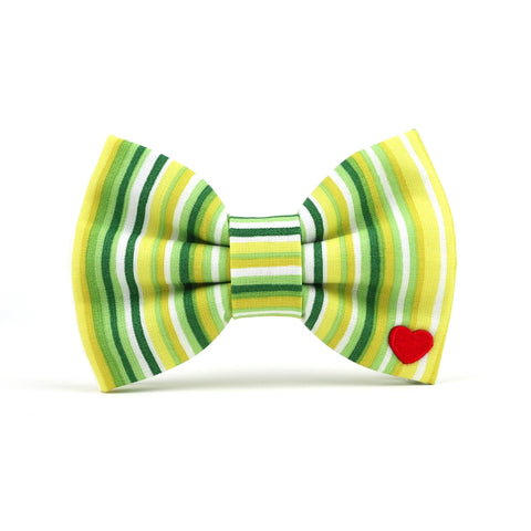 LIMEADE BOW TIE