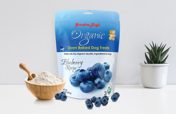 Organic Baked Blueberry Teddy Bear Treats