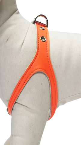 Neon Orange Leather Harness
