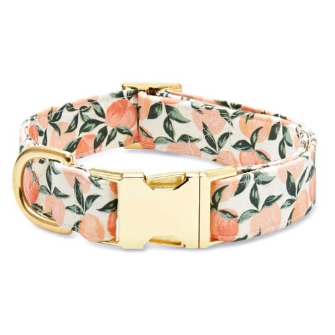 PEACHES N CREAM COLLAR