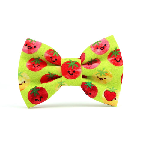 PICO BOW TIE