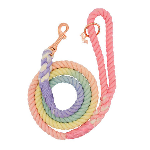 Rainbow Brite Cotton Rope Dog Leash
