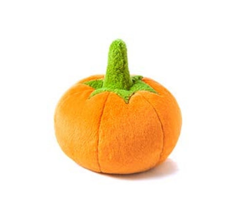 Garden Fresh MINI Pumpkin