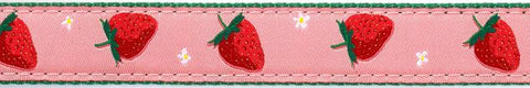 Strawberry DOG HARNESS