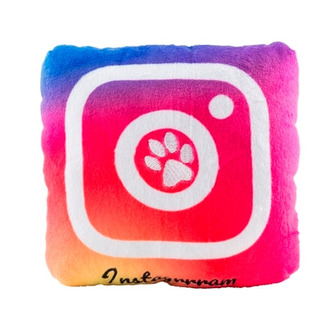 Instagrrrrm Dog Toy