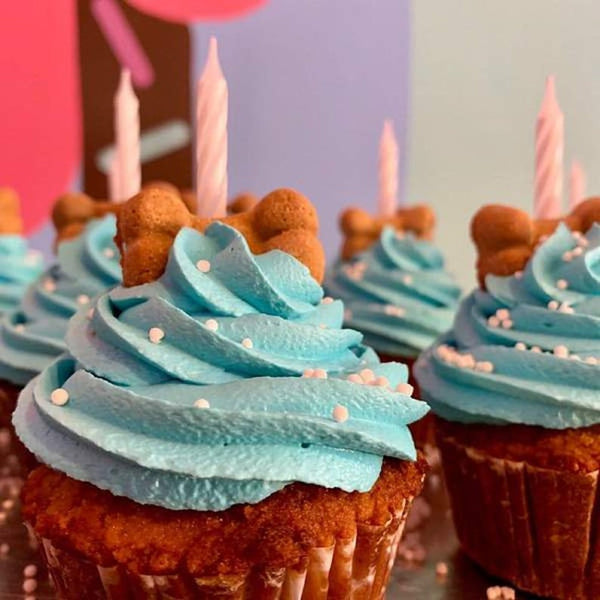 Blue Dog Birthday Cupcakes
