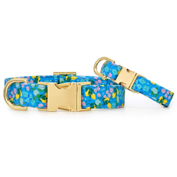 Bees in Bloom COLLAR