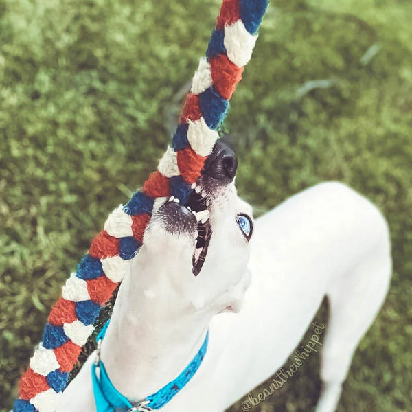 BRAIDED TUG TOY-Long