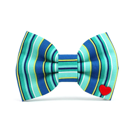 TJ BOW TIE