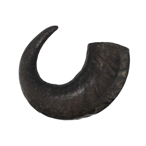 WATER BUFFALO HORNS