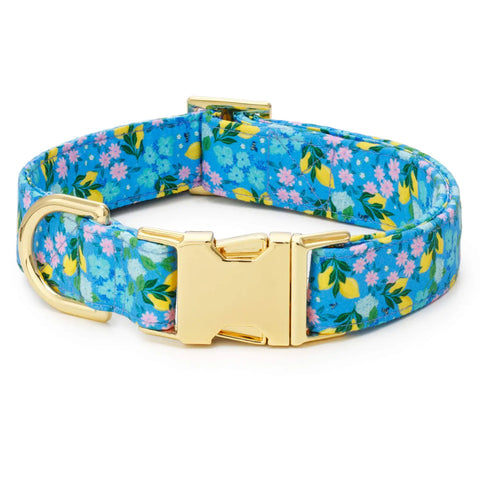 Bees in Bloom COLLAR